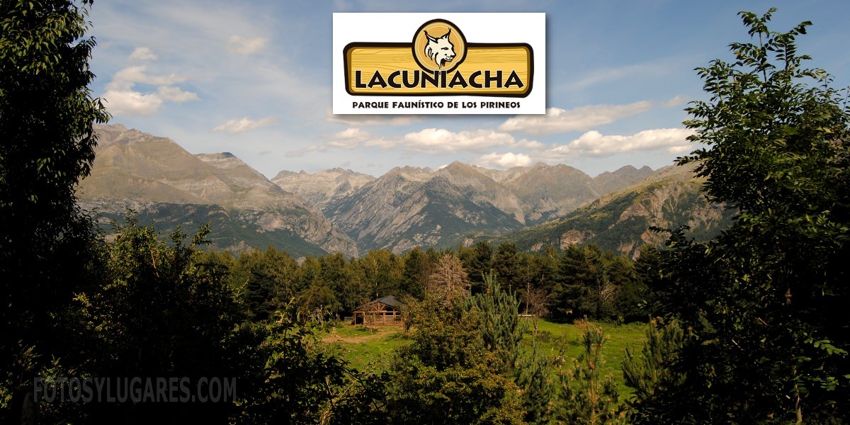 lacuniacha