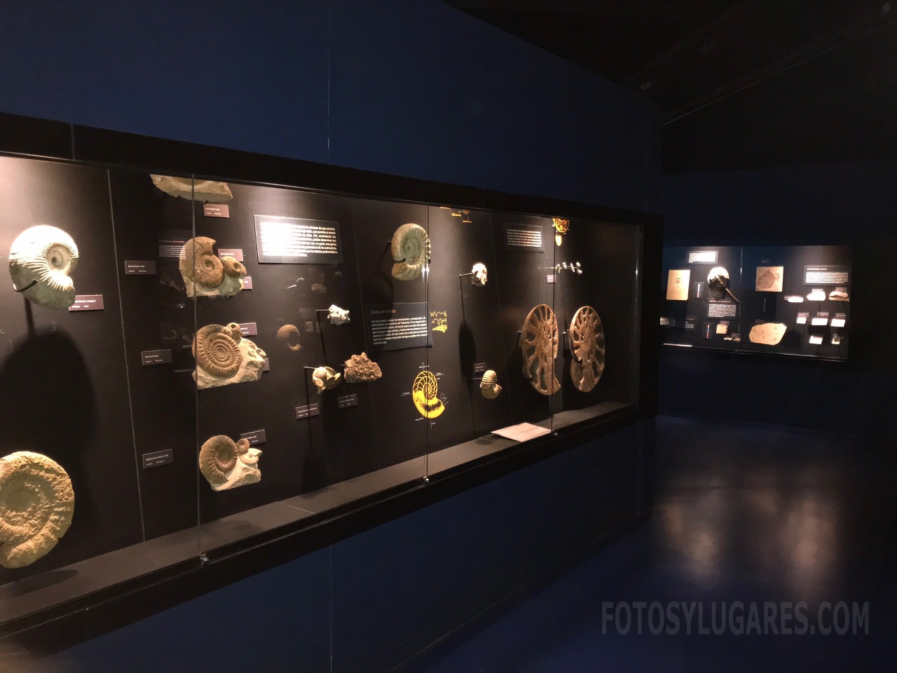 Museo de Dinópolis