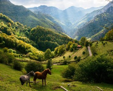 Ruta por Asturias en coche, durante 8 días. Rutas, paisajes, gastronomía…