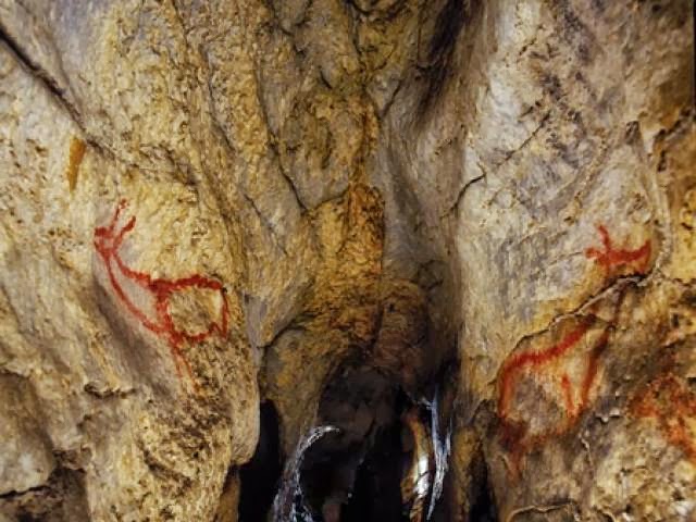 Interior cueva de Covalanas